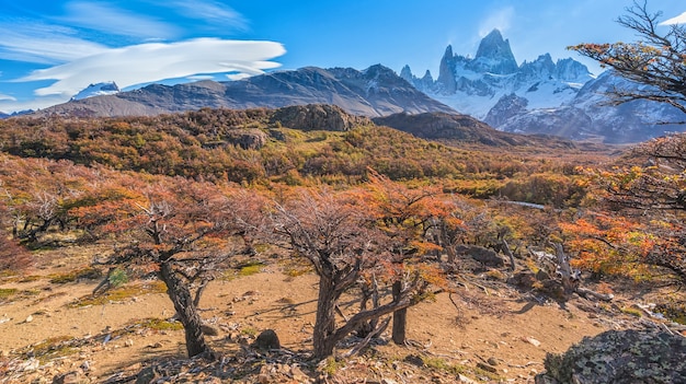 로스 Glaciares 국립 공원, 엘 Chalten, 파타고니아, 아르헨티나에서 Fitz Roy 마운트.