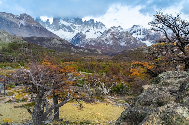 Monte fitz roy nel parco nazionale los glaciares, el chalten, patagonia, argentina