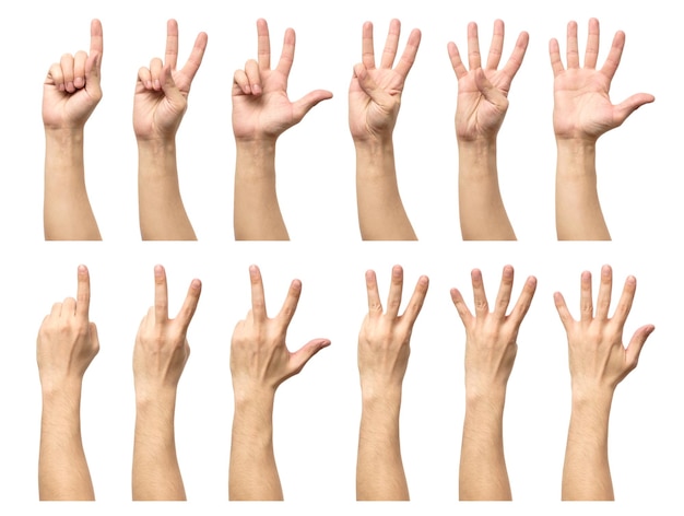 Photo five counting male hands isolated on white background