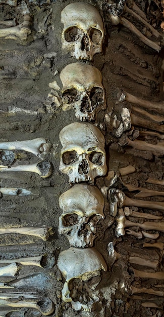 Photo five human skulls on top of each other with bones on the sides creating a macabre design