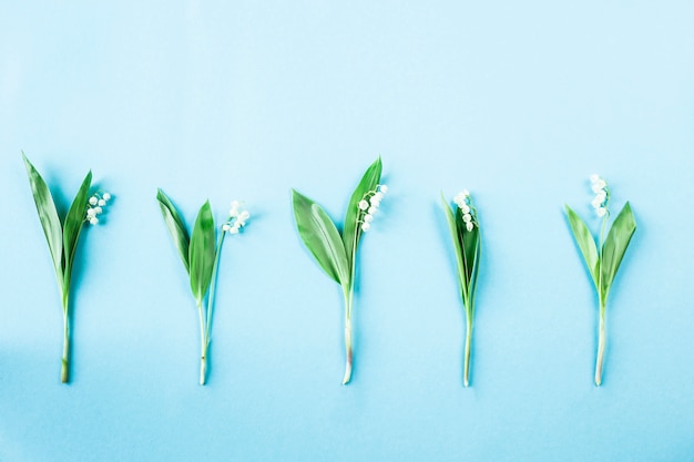 Five lily of the valley flowers lined up in a row on a blue background