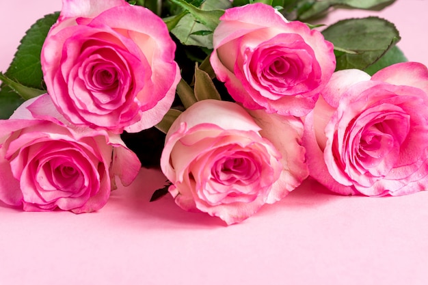 Cinque rose rosa su rosa. copia spazio - san valentino, 8 marzo, madre, concetto di festa della donna