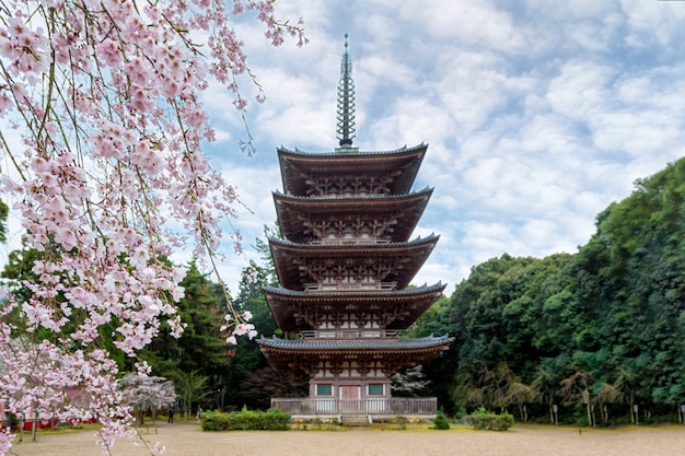 Pagoda a cinque piani con fiori di ciliegio giapponesi nel tempio daigoji nel quartiere fushimi, città di kyoto, giappone.