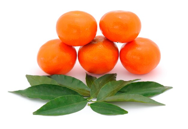 Five tangerines isolated