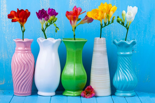 Five vases with freesias on a blue background. Beautiful flowers.