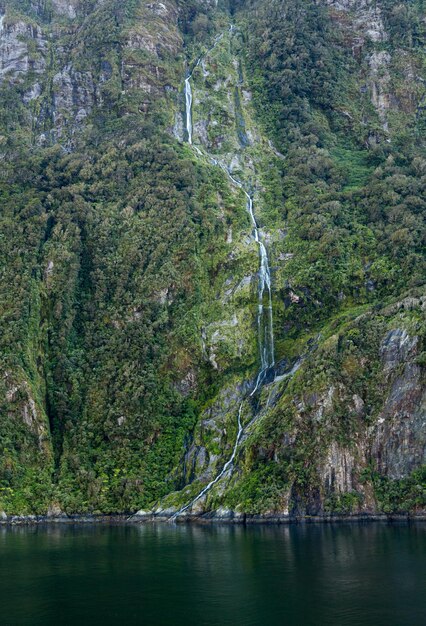 Fjord of Milford Sound in New Zealand