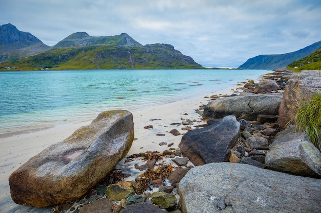 Fjord in rainy weather White sand on the beach Beautiful nature of Norway Lofoten islands