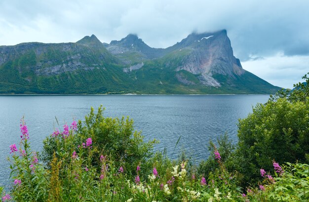 Fjord summer cloudy view with flowers in front