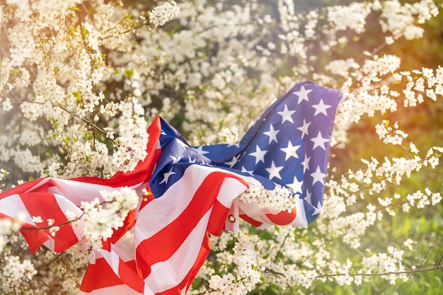 Flag of America on the background of a flowering tree. Politics, learning a foreign language. July 4. Memorial Day