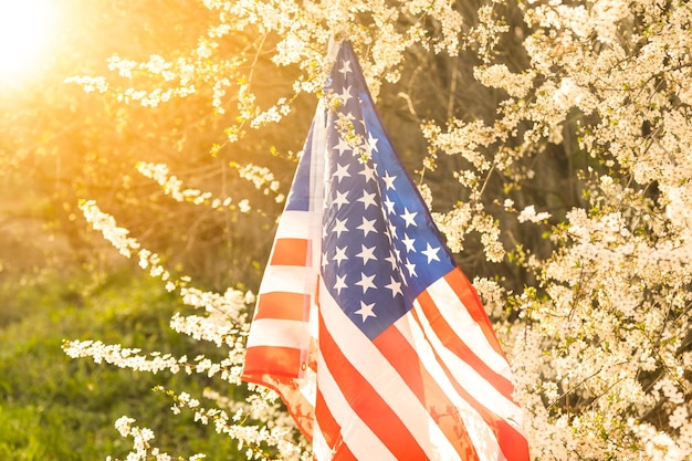 Flag of America on the background of a flowering tree. Politics, learning a foreign language. July 4. Memorial Day