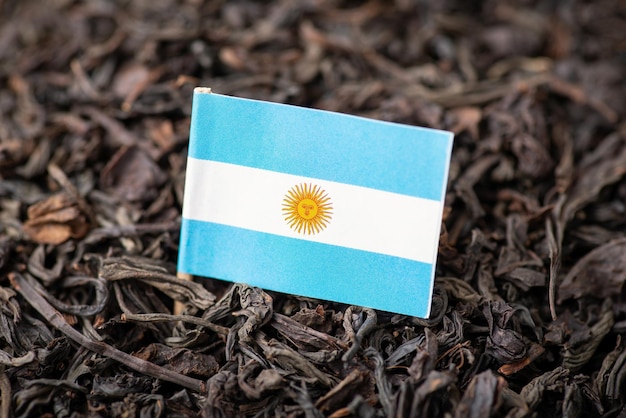 Flag of Argentina in black tea leaves Growing tea in Argentina concept