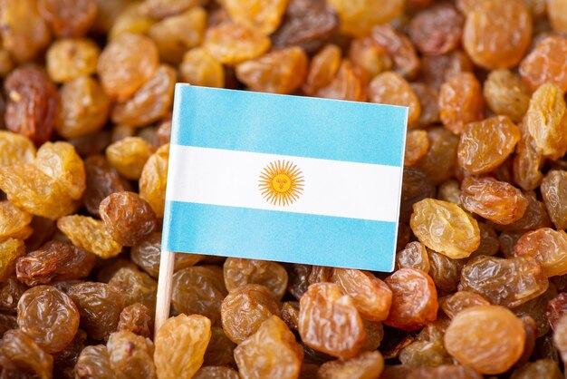 Flag of Argentina on raisins Growing raisins in Argentina concept