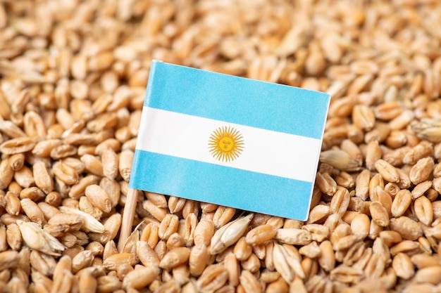 Flag of Argentina on wheat grain