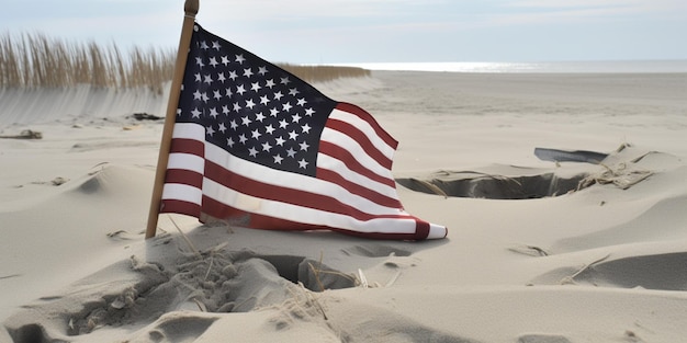 A flag on a beach with the ocean in the background