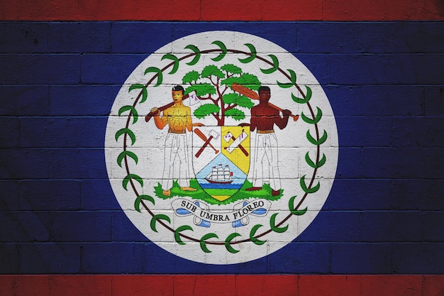 Flag of Belize painted on a wall