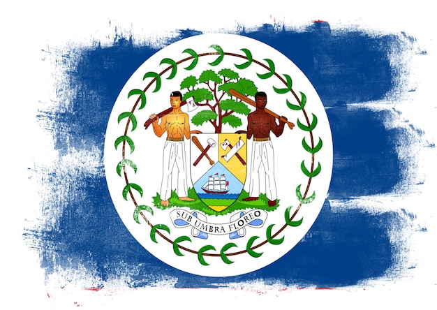 Photo flag of belize painted with brush