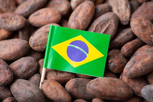 Flag of Brazil on cacao beans Growing cacao in Brazil concept