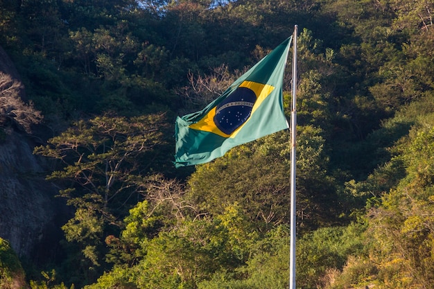 Flag of Brazil outdoors trees in the background in Rio de Janeiro Brazil.