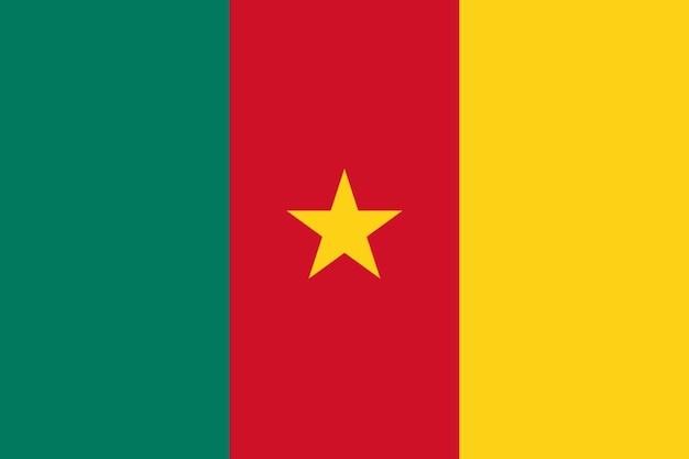 flag of cameroon flag nation