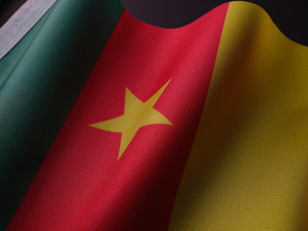 Flag of Cameroon