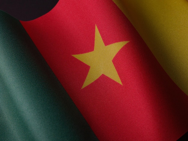 Flag of Cameroon