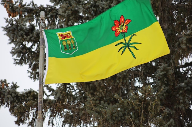 The flag of the Canadian province of Saskatchewan is blowing in the wind in winter Canada Day
