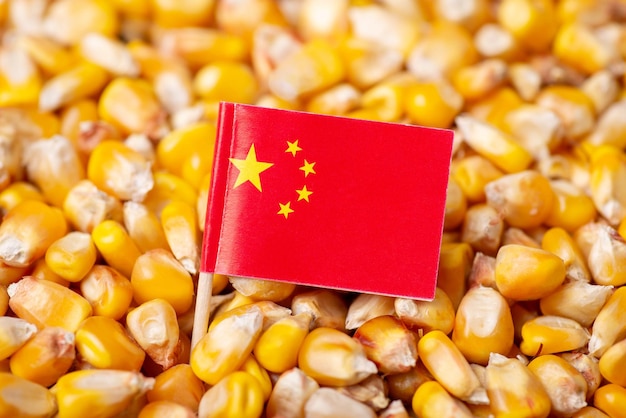 Flag of China on corn grain