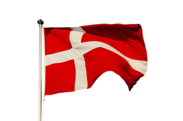 Flag of Denmark isolated on the white background, national patriotic symbol