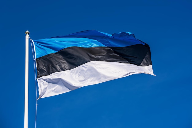 Flag of estonia