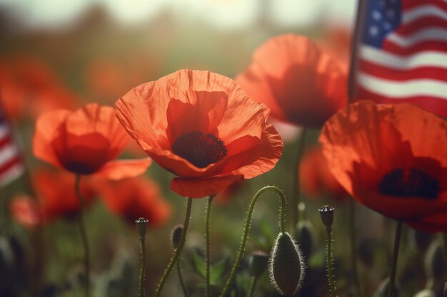 Photo a flag in a field of poppies