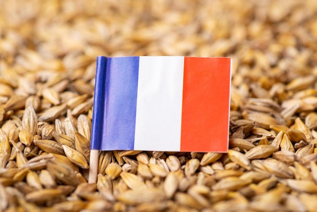 Flag of France on barley grain