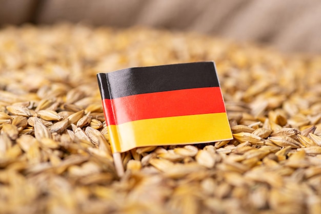 Flag of Germany on barley grain