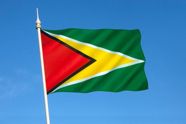 Flag of Guyana