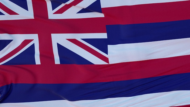 Flag of Hawaii state region of the United States waving at wind 3d rendering