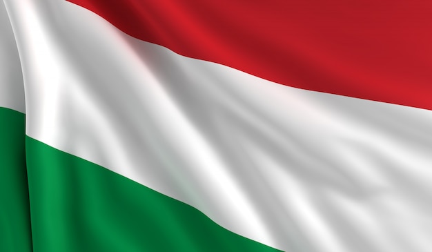 Photo flag of hungary