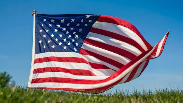 a flag is flying in the grass with a blue sky in the background