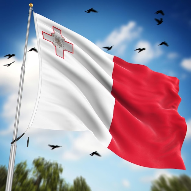 Photo flag of malta