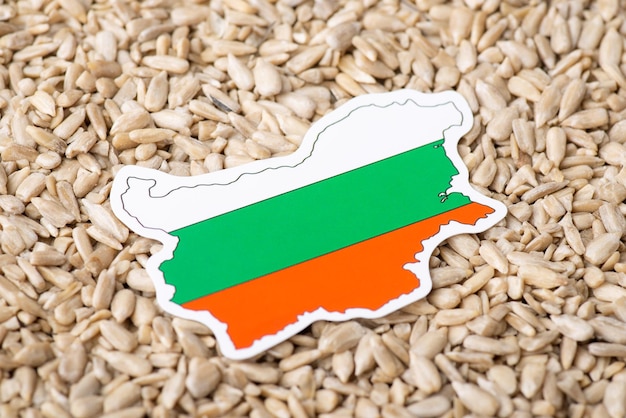 Flag and map of Bulgaria on peeled sunflower grain