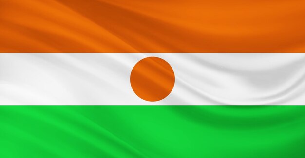 空にはためくニジェールの国旗