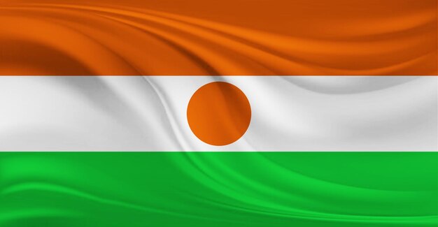 空にはためくニジェールの国旗