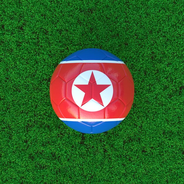 Flag Of North Korea On Soccer Ball With Grass Background