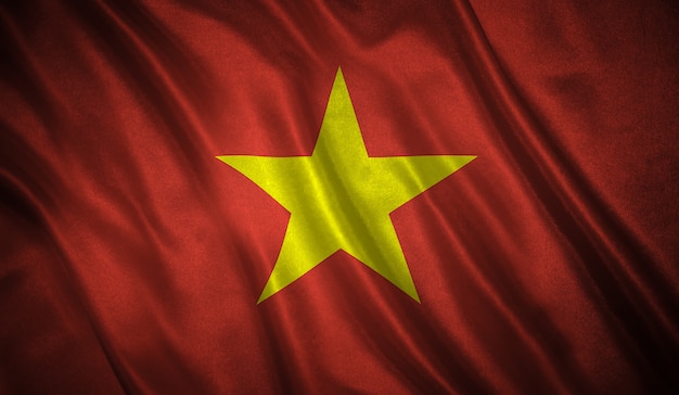사진 베트남의 국기