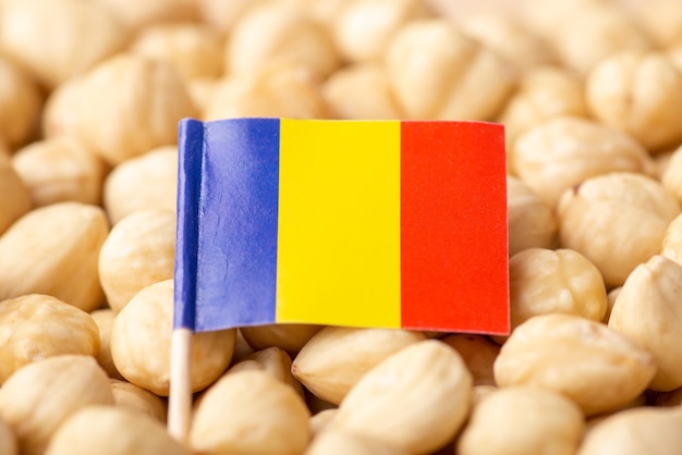Flag of Romania on hazelnuts Concept of growing hazelnuts in Romania origin of hazelnuts
