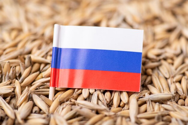 Flag of Russia on oat grain