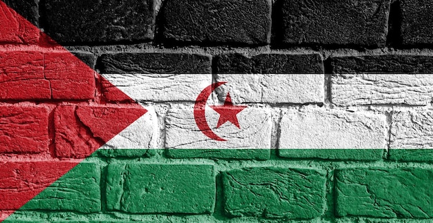 벽에 Sahrawi 아랍 민주 공화국의 국기