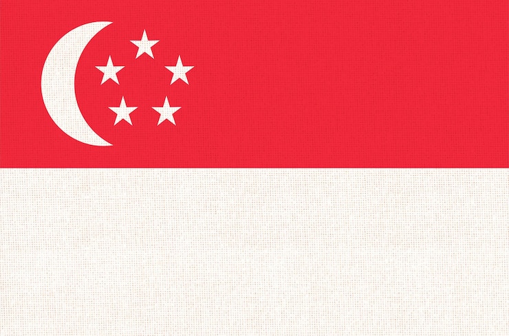 Photo シンガポールの国旗 (シンガポール国旗) シンガポルの国旗 (singapore flag) 