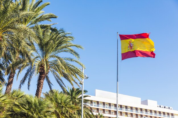 Photo flag of spain at tourist resort with palm trees