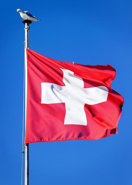 Flag of Switzerland waving by the wind