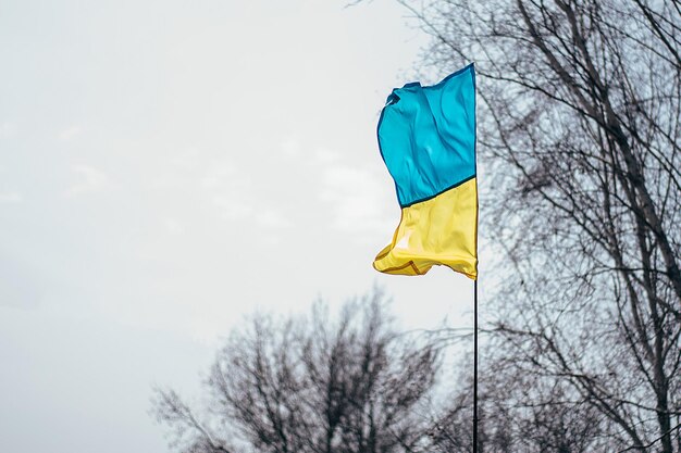 Flag of Ukraine against the background of the gray sky and dry tree branches war between ukraine and russia