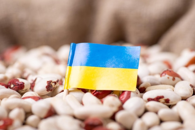 Flag of Ukraine on haricot